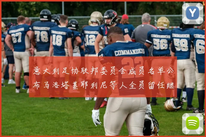 意大利足协联邦委员会成员名单公布马洛塔基耶利尼等人全员留任继续服务
